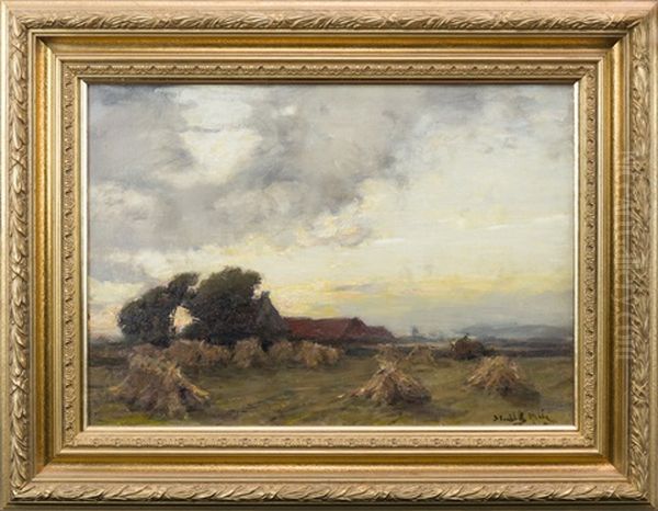 Harvesting In An Evening Landscape - view 1