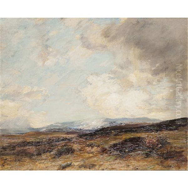 Monadhleath Hills, Autumn - view 1