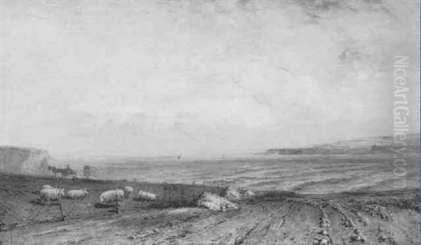 Near Coldingham - view 1