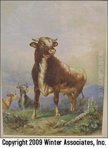 Three Cows In Field - view 1
