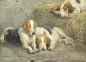 Beagles Resting