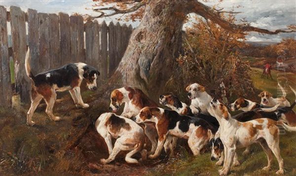 Hunting Hounds - view 1