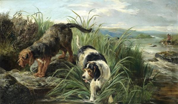 Otter Hounds On The Scent - view 1