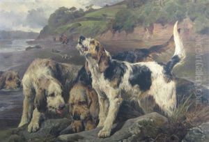 An Otter Hunt