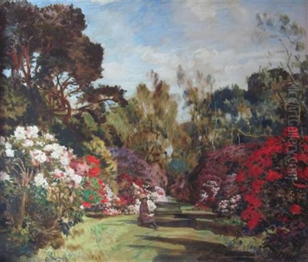 Rhododendrons - view 1