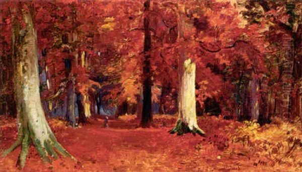 Beach Wood, Autumn - view 1