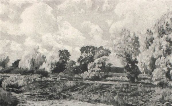 Water Meadows - view 1