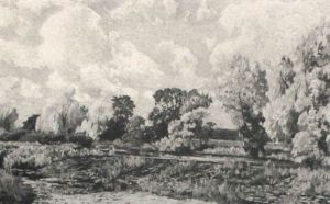 Water Meadows