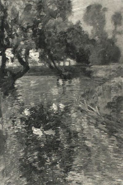 Duck Pond - view 1