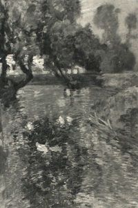 Duck Pond by Robert Noble