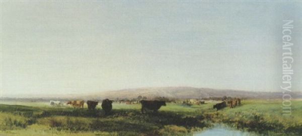 Paturage - view 1