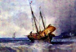 Marine Marine
