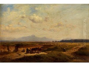 Weite Sommerlandschaft Mit Alpengebirgszug In Diesigem Licht