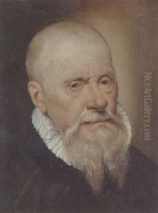 Ritratto Di Uomo Barbuto - Allegoria Dell'inverno by Giuseppe Nogari