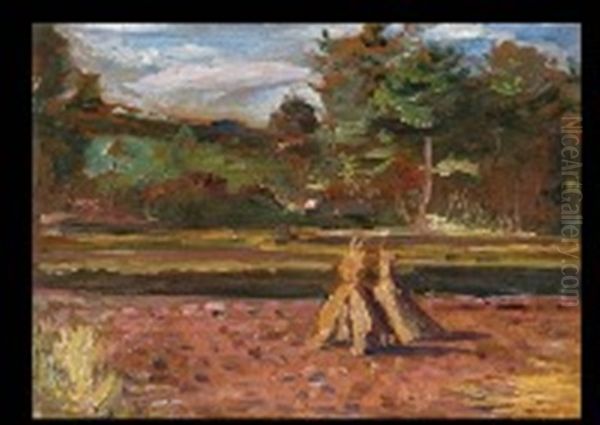 Landscape - view 1