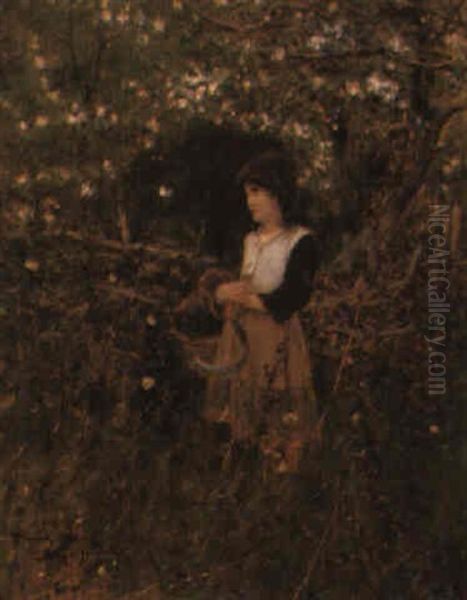 Fruits Of The Forest - view 1