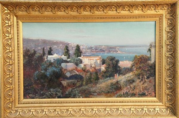 Paysage Du Nord De L'algerie - view 1
