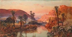 Oued Dans Une Oasis