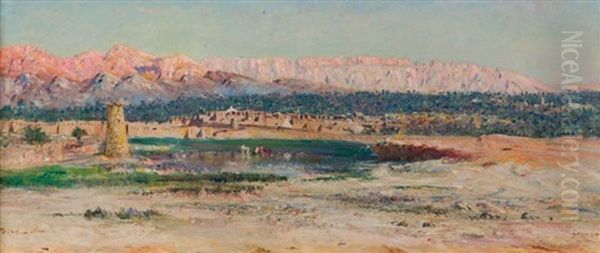 L'oasis Du Ksar Zenaga - view 1