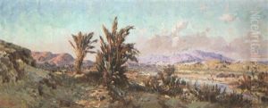 Environs De Bou-saada