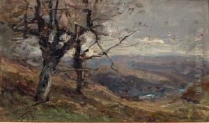 Paysage Dans Les Ravins