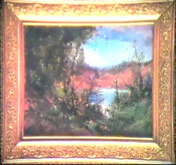 L'ile Du Verdier A Villerest - view 1