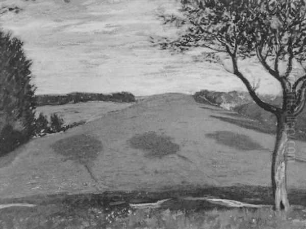 Sommerliche Landschaft - view 1