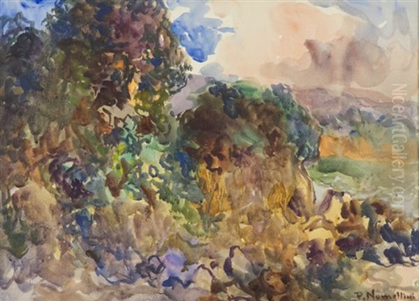 Paesaggio Elbano - view 1