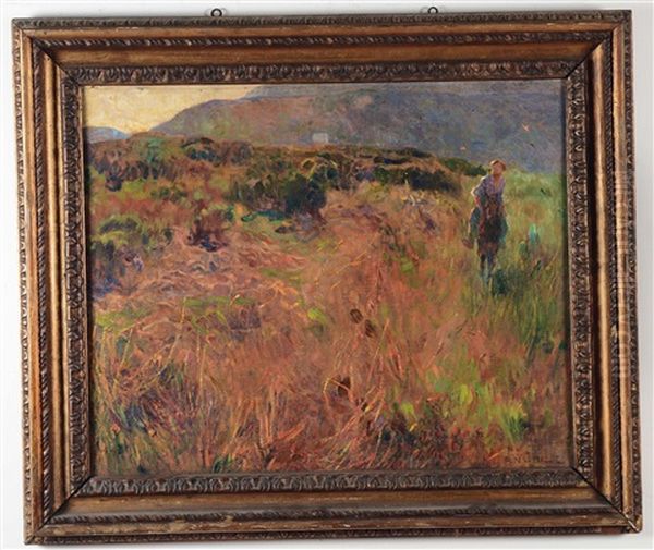 Terra Vergine - view 1