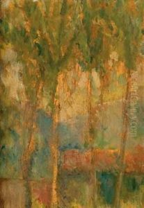 Paesaggio Con Cipressi