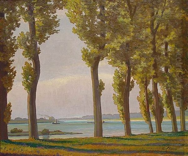Am Rhein. An Der Siegaue Vor Schwarzrheindorf - view 1