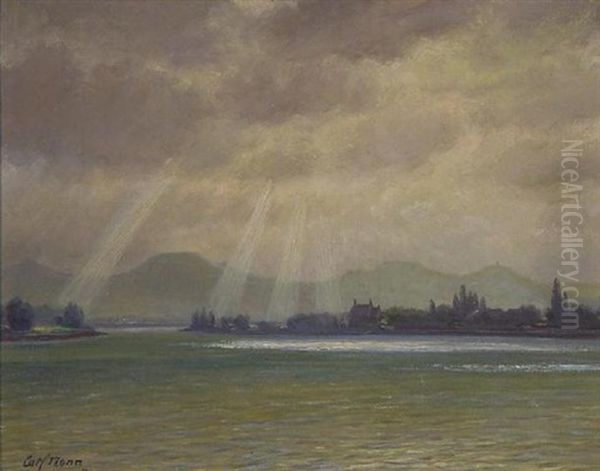 Nonnenwerth. Blick Auf Die Insel Und Das Siebengebirge - view 1