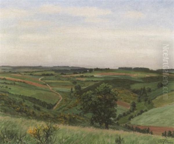 Blick In Das Mehlental Bei Prum In Der Eifel - view 1