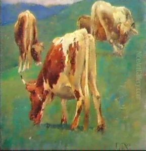 Mucche Al Pascolo