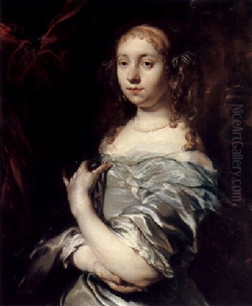 Portrait Of A Lady, Half Length, Wearing Pearls And A Grey Satin Gown With A Blue Shawl, And Ornamental Garden Beyond - view 1