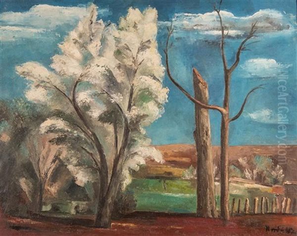 Santa Fe - view 1