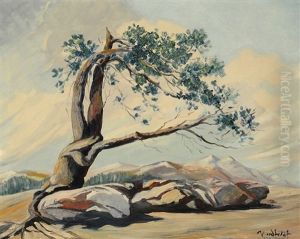 Desert Tree, Nm Desert Tree, Nm