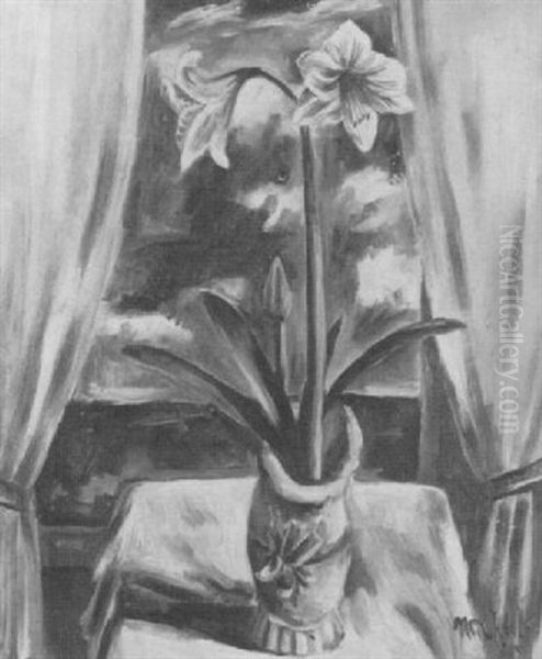 Amaryllis - view 1