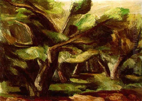 Treeforms Cauoncito - view 1