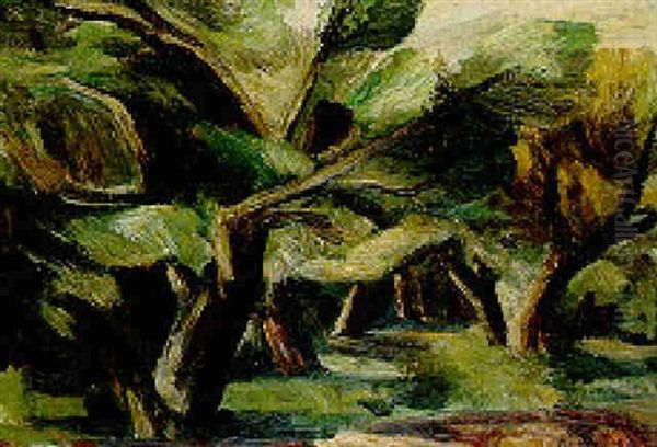 The Old Apple Orchard, Rowley - view 1