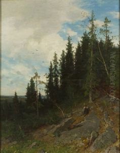 Forest Forest