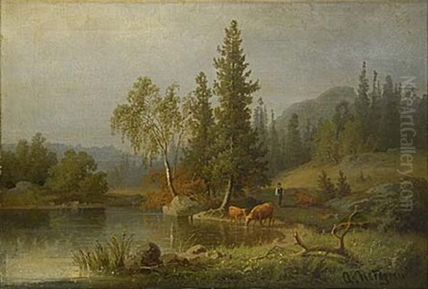 Vattenpaus - view 1