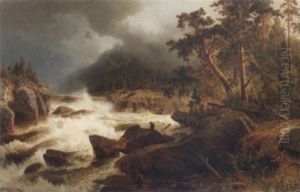 Forslandskap Med Ornar Forslandskap Med Ornar