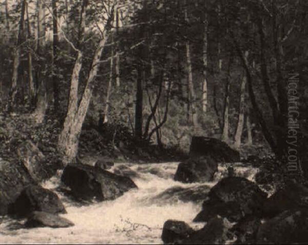 A Stream In A Wooded Landscape - view 1