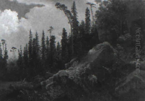 Klippor Vid Skogskant - view 1