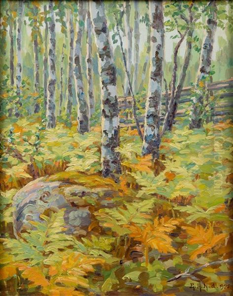 Sunlight In The Forest - view 1