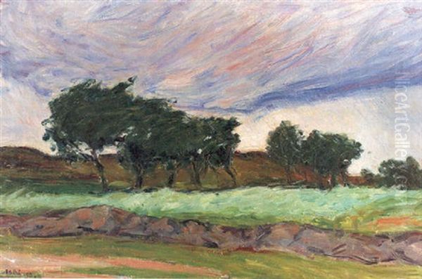 Sommarlandskap, Varberg - view 1