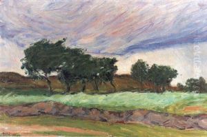 Sommarlandskap, Varberg Sommarlandskap, Varberg