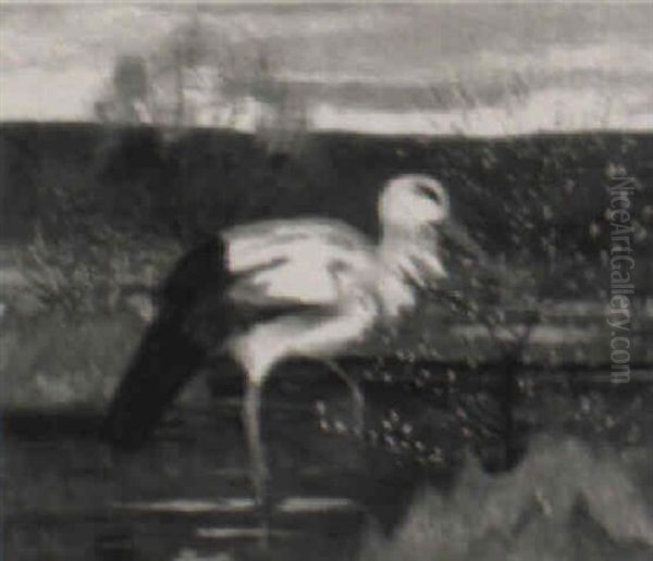 Stork I Karr - view 1