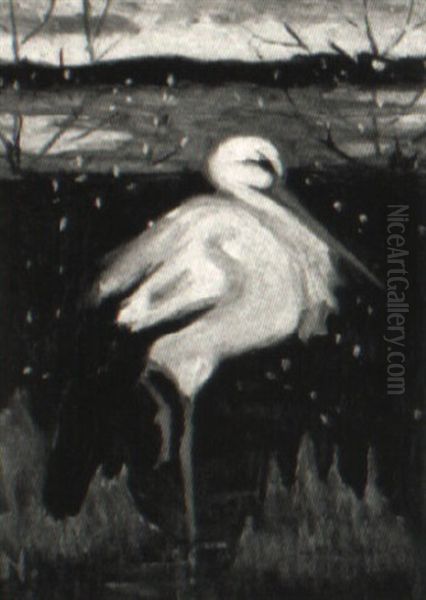 Stork I K,rr - view 1